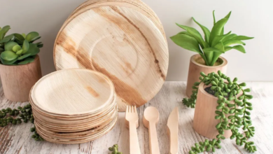 How to Choose Eco-Friendly Disposable Tableware Wisely