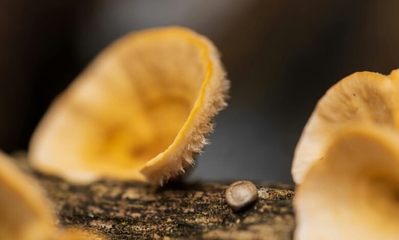 batch initialization log identifiers