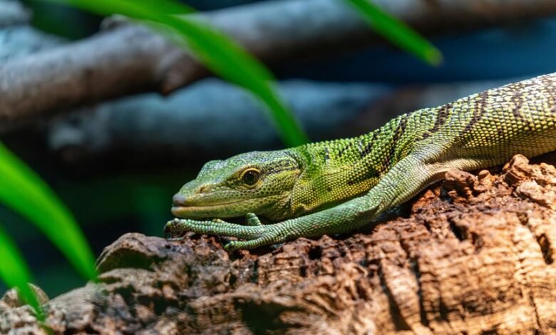 correlation pattern examination log