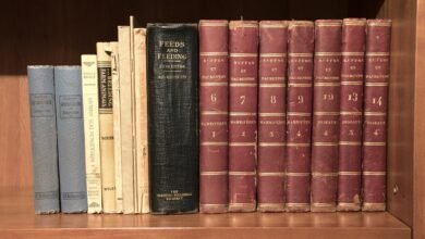 final code series archive