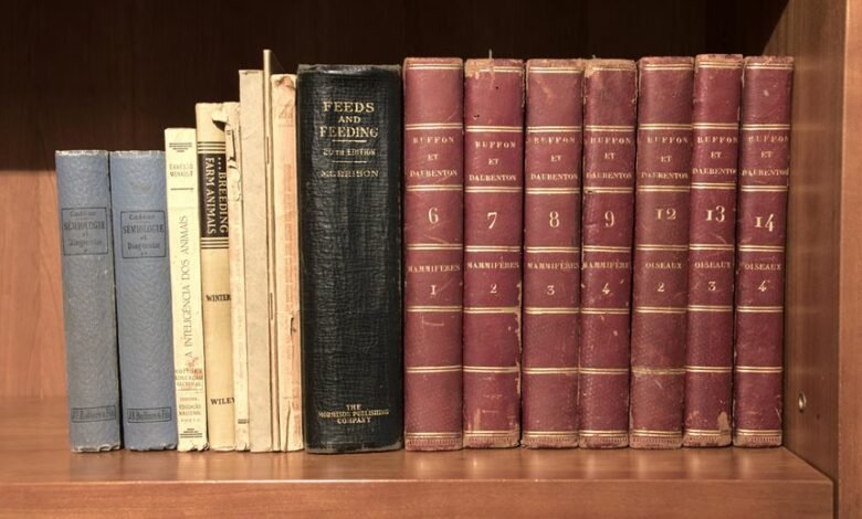 final code series archive