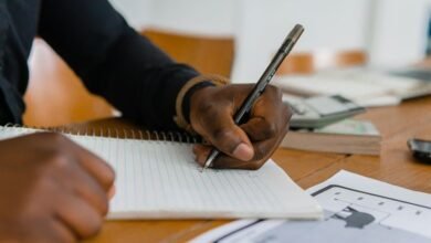 numeric record summary overview