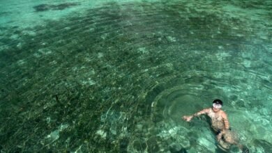 reference pool ledger consolidation