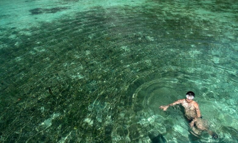 reference pool ledger consolidation